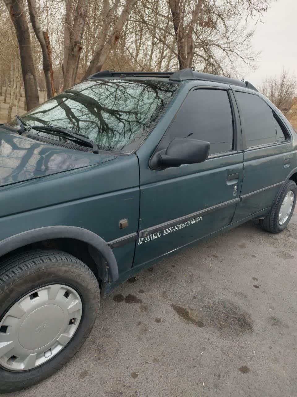 پژو آردی دوگانه سوز CNG - 1382