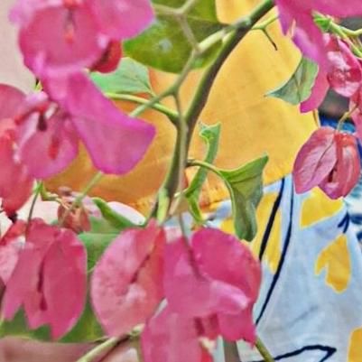خودرو سمند، سورن پلاس آگهی ann_19391390