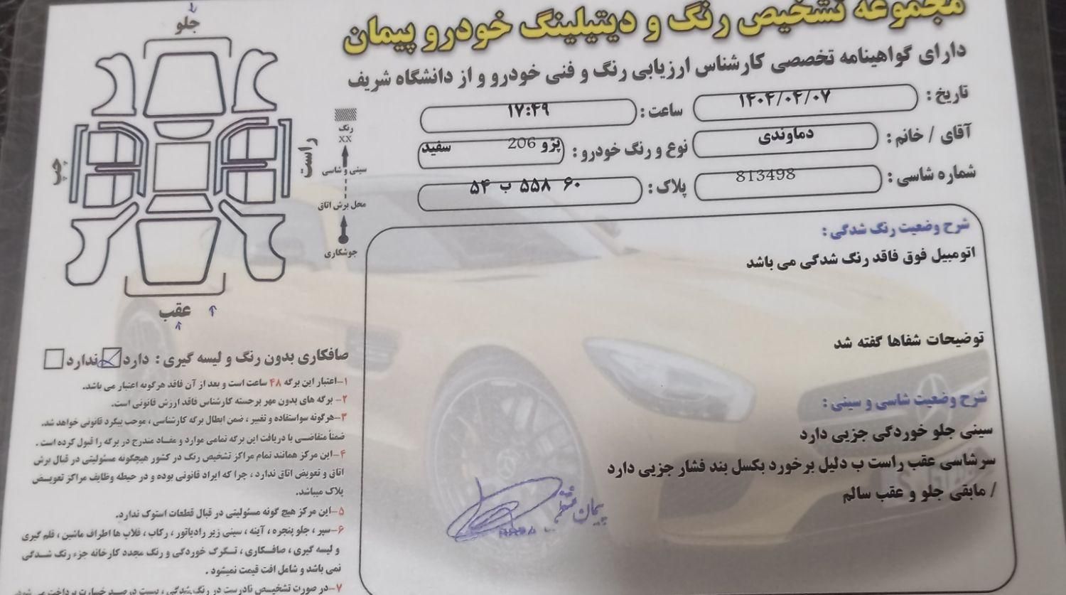 پژو 206 تیپ 2 - 1395