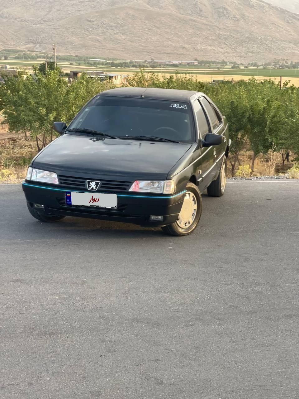 پژو 405 GLX - 1382