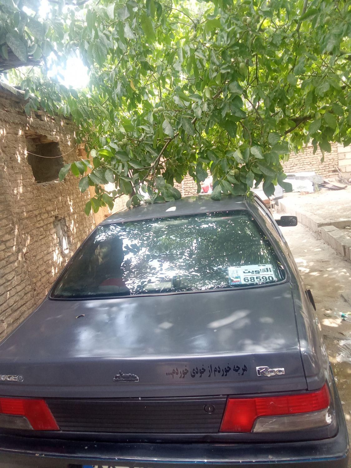 پژو روآ دوگانه سوز - 1385