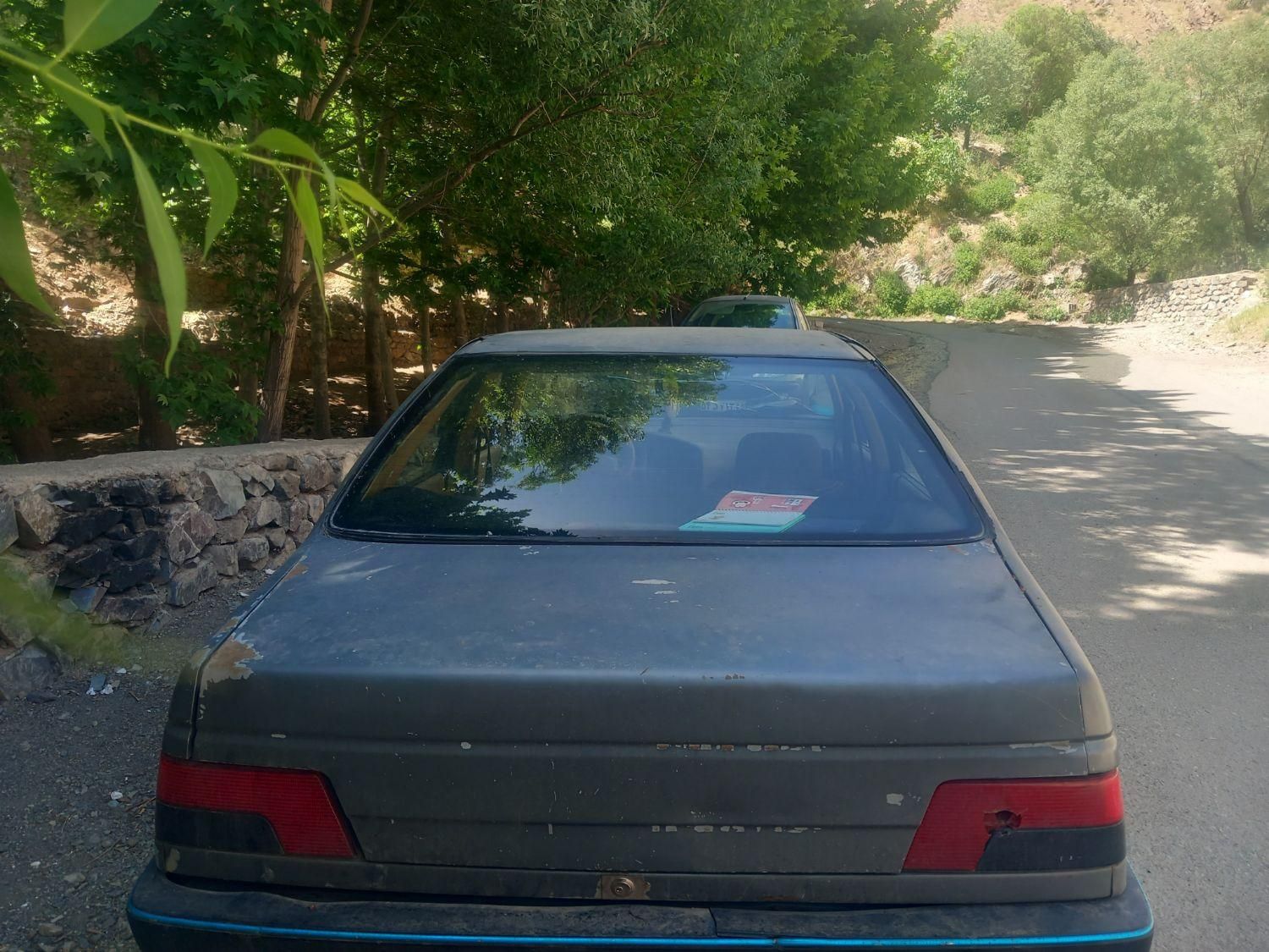پژو 405 GLX - دوگانه سوز - 1386