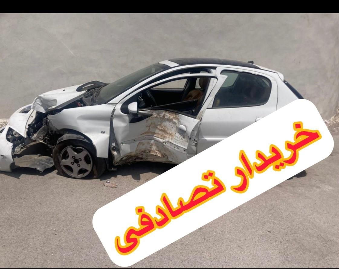خودرو پژو، 207 آگهی ann_19401405