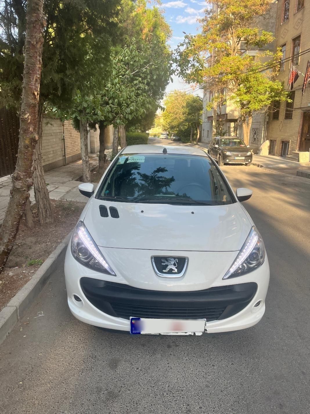 خودرو پژو، 207 آگهی ann_19401460