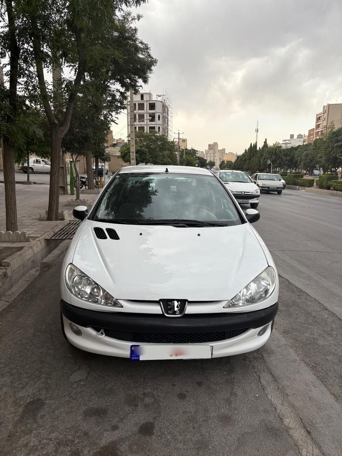 پژو ۲۰۶ صندوق دار v8 - 1390