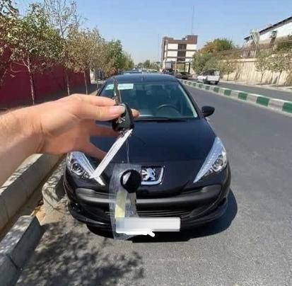 خودرو پژو، 207 آگهی ann_19403261