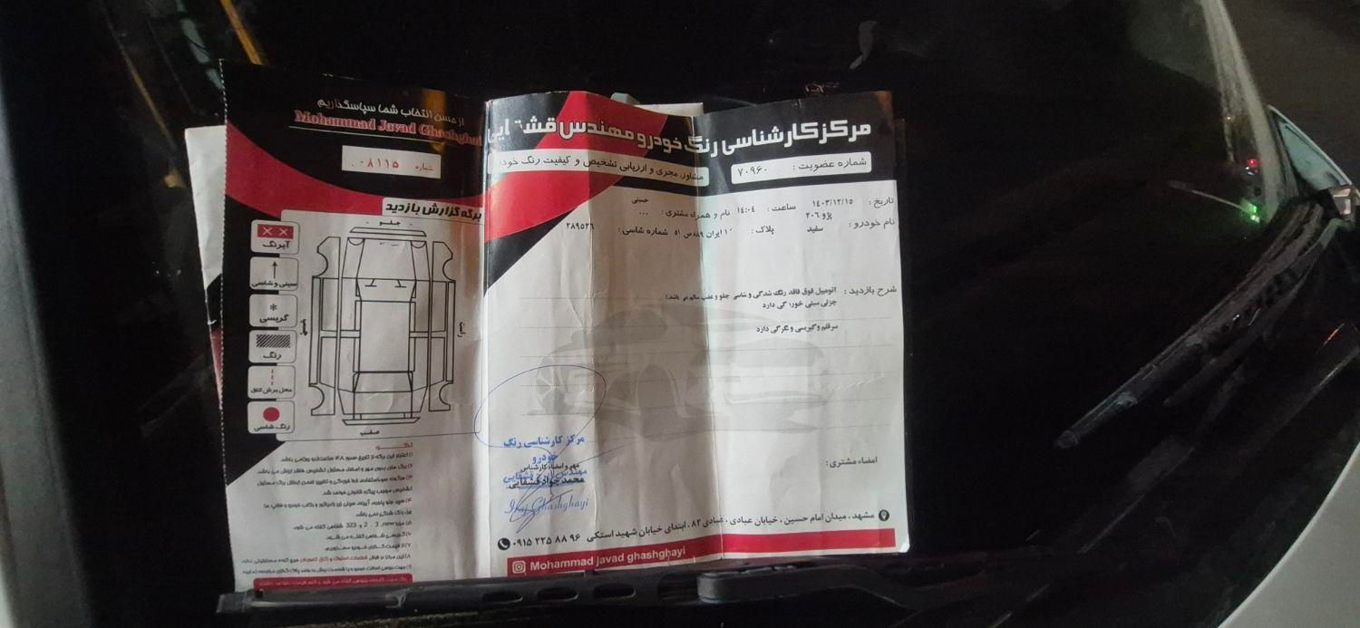 پژو 206 تیپ 2 - 1401