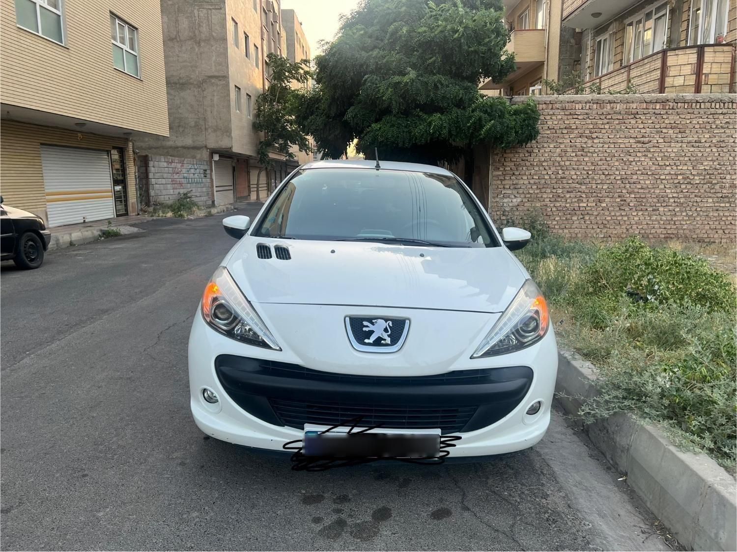 خودرو پژو، 207 آگهی ann_19405005