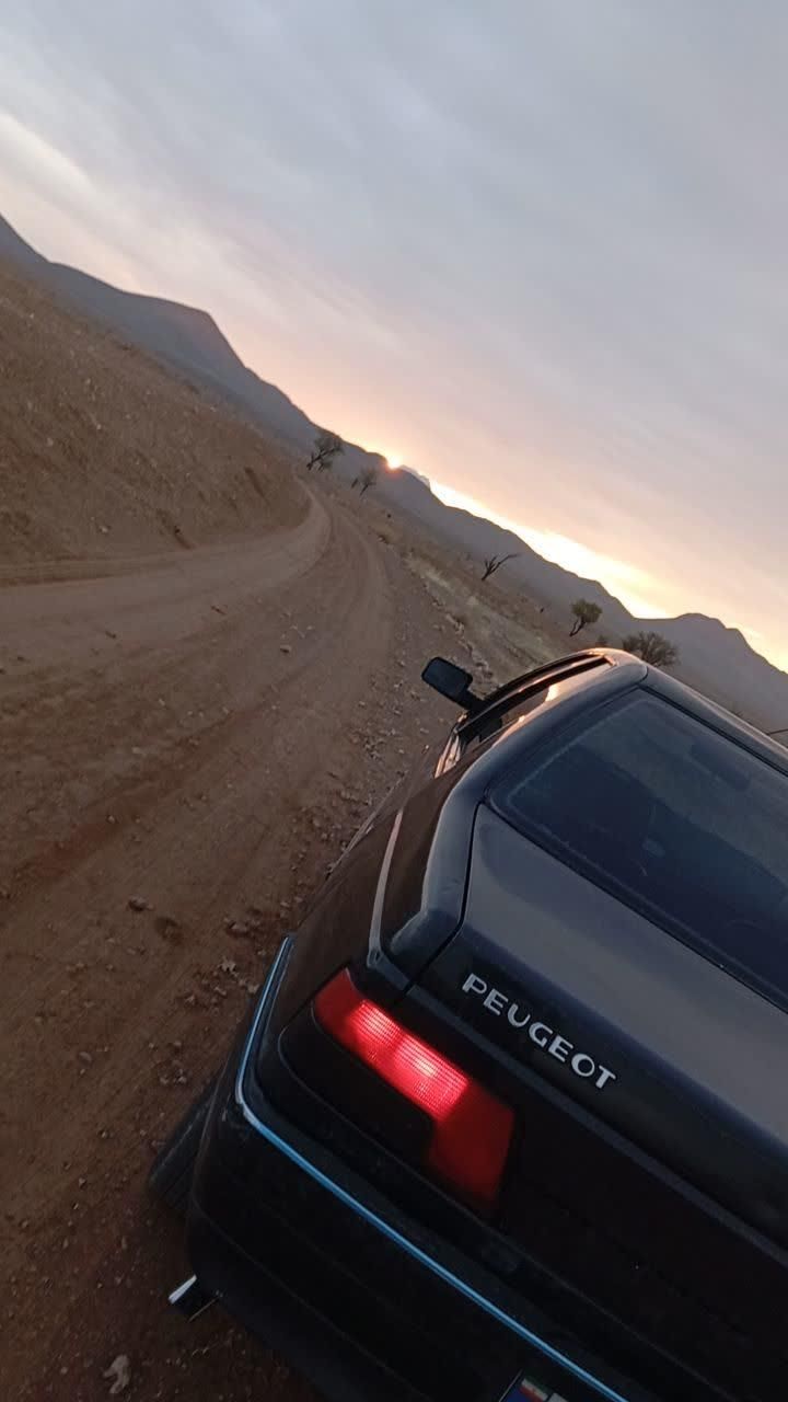 پژو 405 GLX - 1380