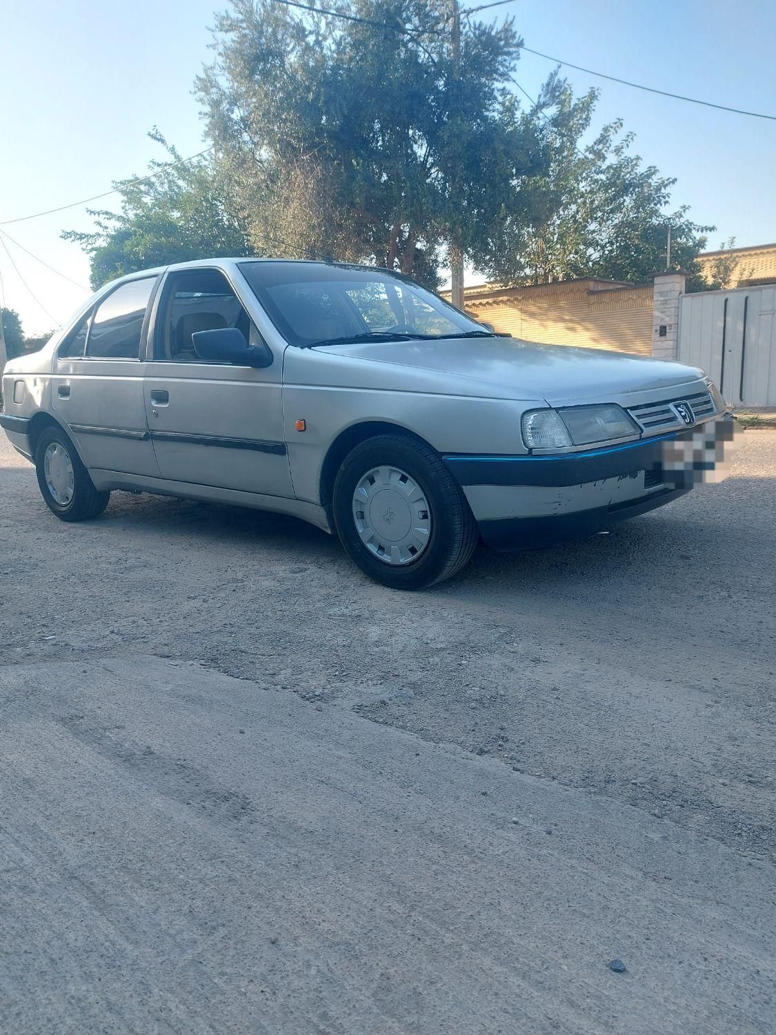 پژو 405 GLX - دوگانه سوز - 1389
