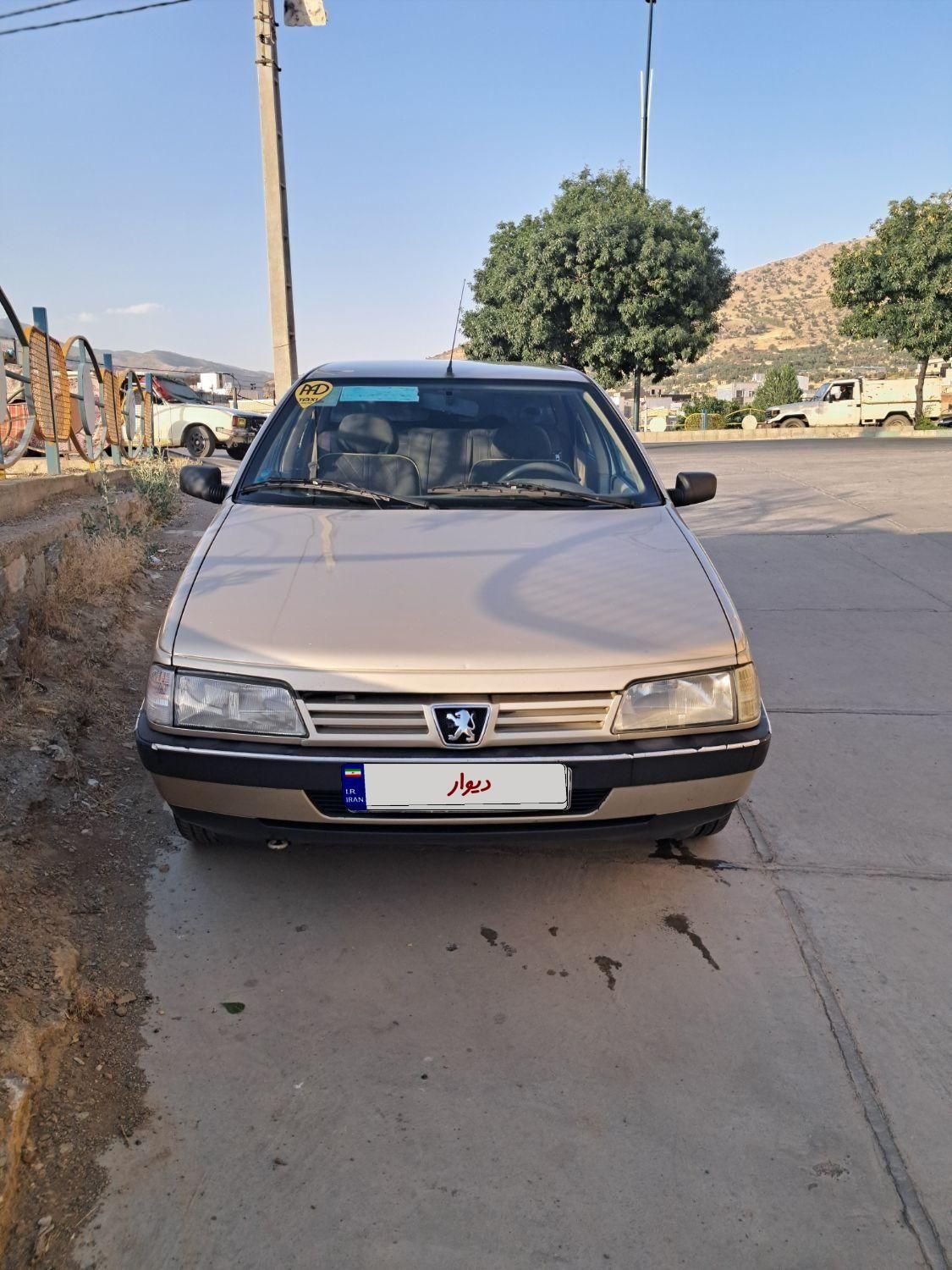 پژو 405 GLX - دوگانه سوز - 1386