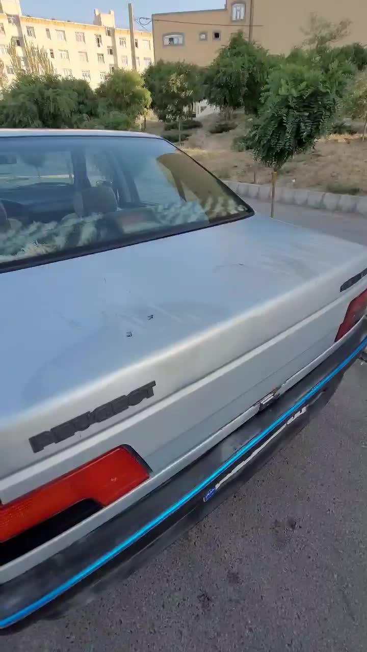 پژو 405 GLX - دوگانه سوز - 1388