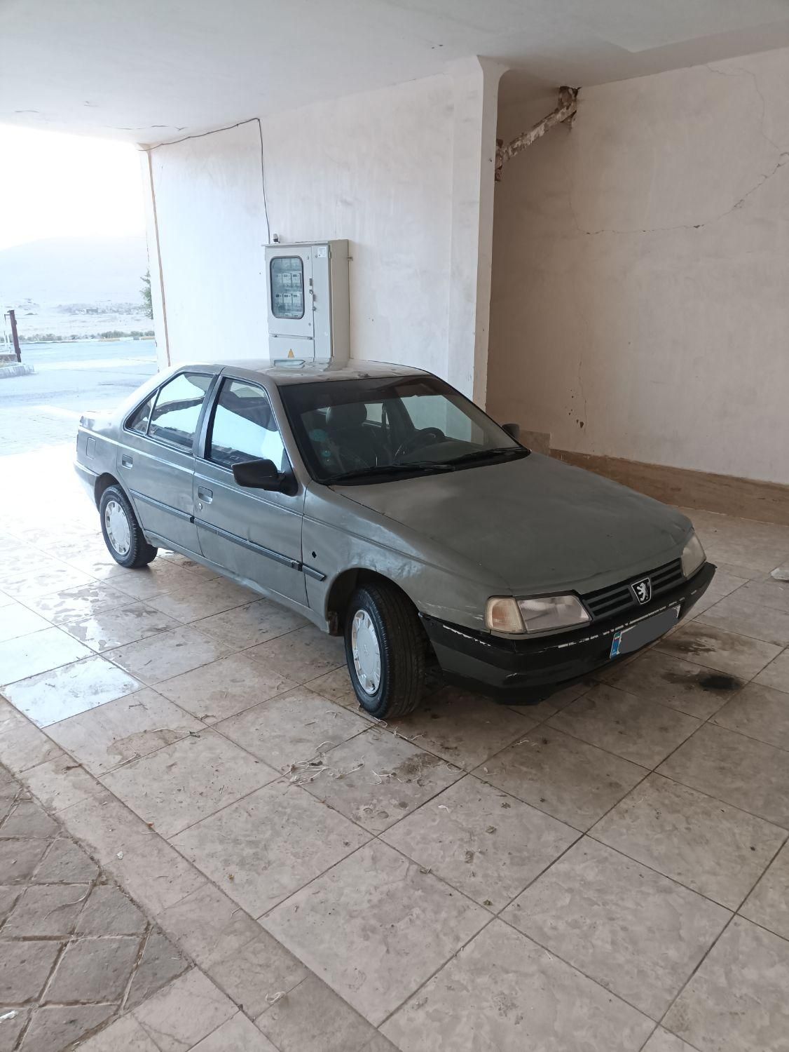 پژو آردی دوگانه سوز CNG - 1380
