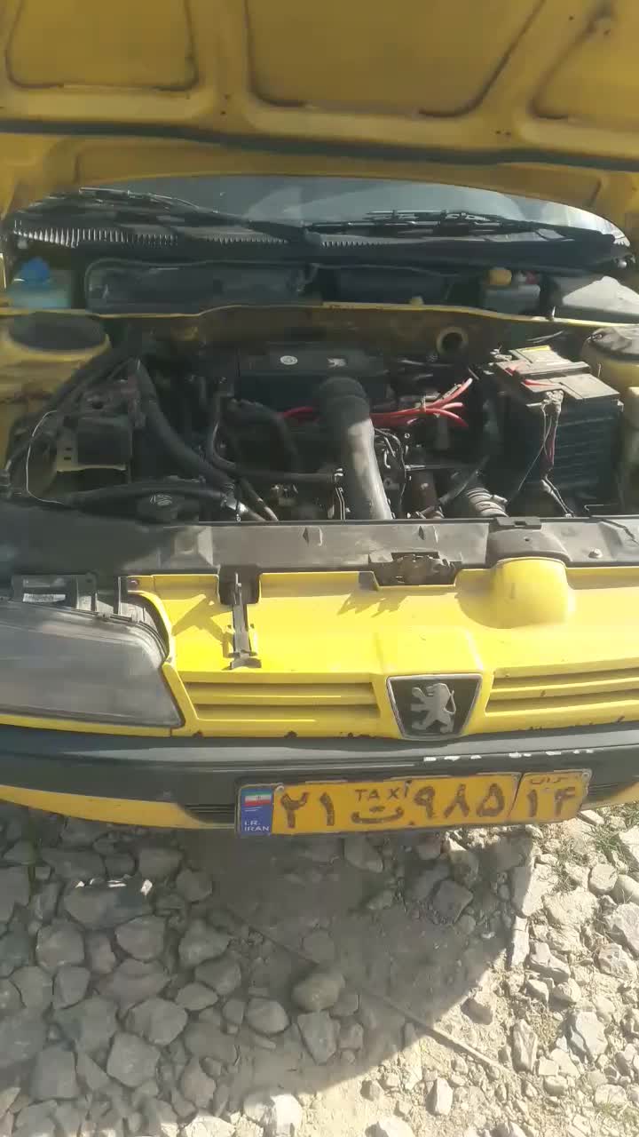 پژو 405 GLX - دوگانه سوز - 1386
