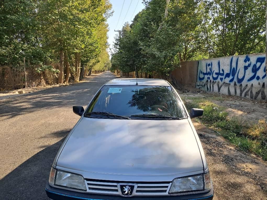 پژو 405 GLX - دوگانه سوز - 1391