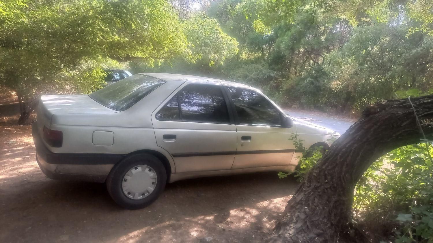 پژو 405 دوگانه سوز GLX - TU5 - 1390
