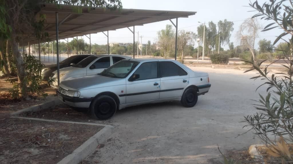پژو 405 GL - دوگانه سوز CNG - 1373