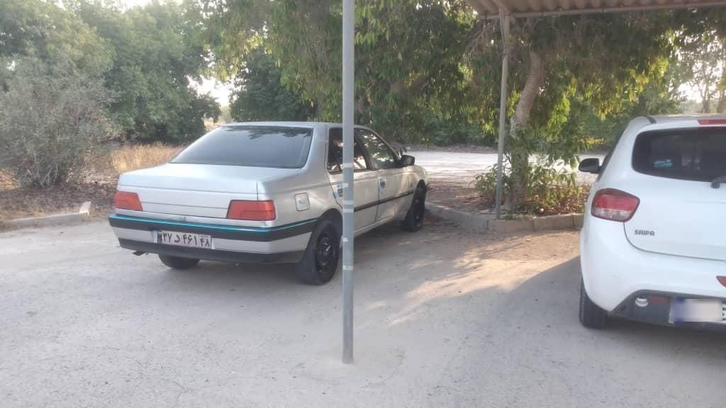 پژو 405 GL - دوگانه سوز CNG - 1373