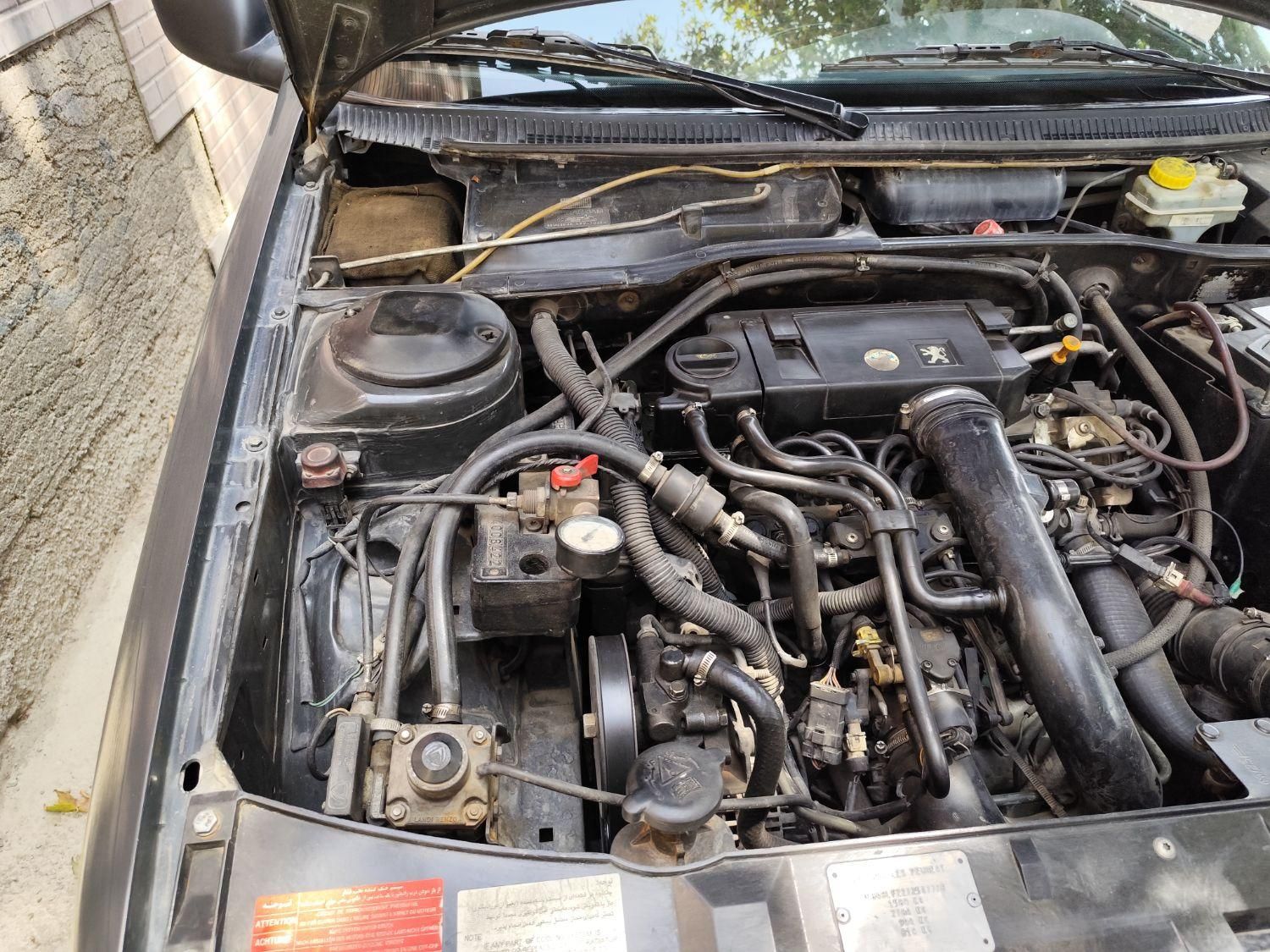 پژو 405 GLI - دوگانه سوز CNG - 1384