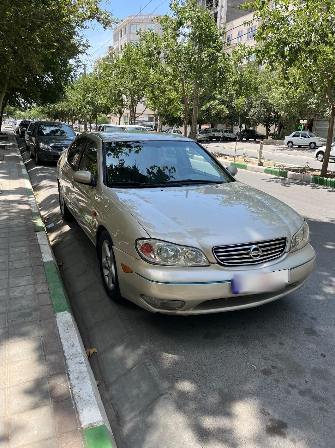 خودرو نیسان، ماکسیما آگهی ann_19422264