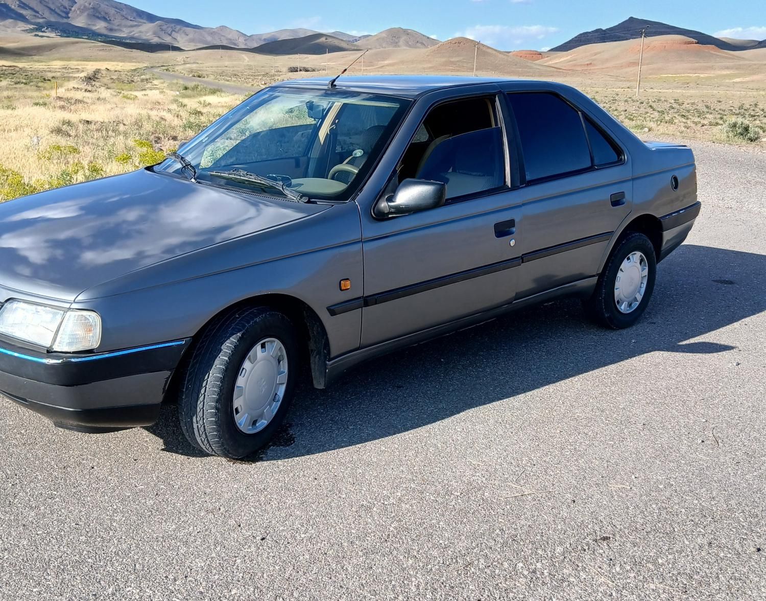 پژو 405 GLX - 1391