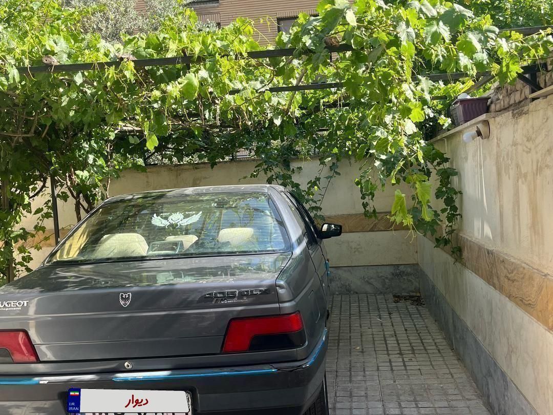 پژو 405 GLX - دوگانه سوز - 1394