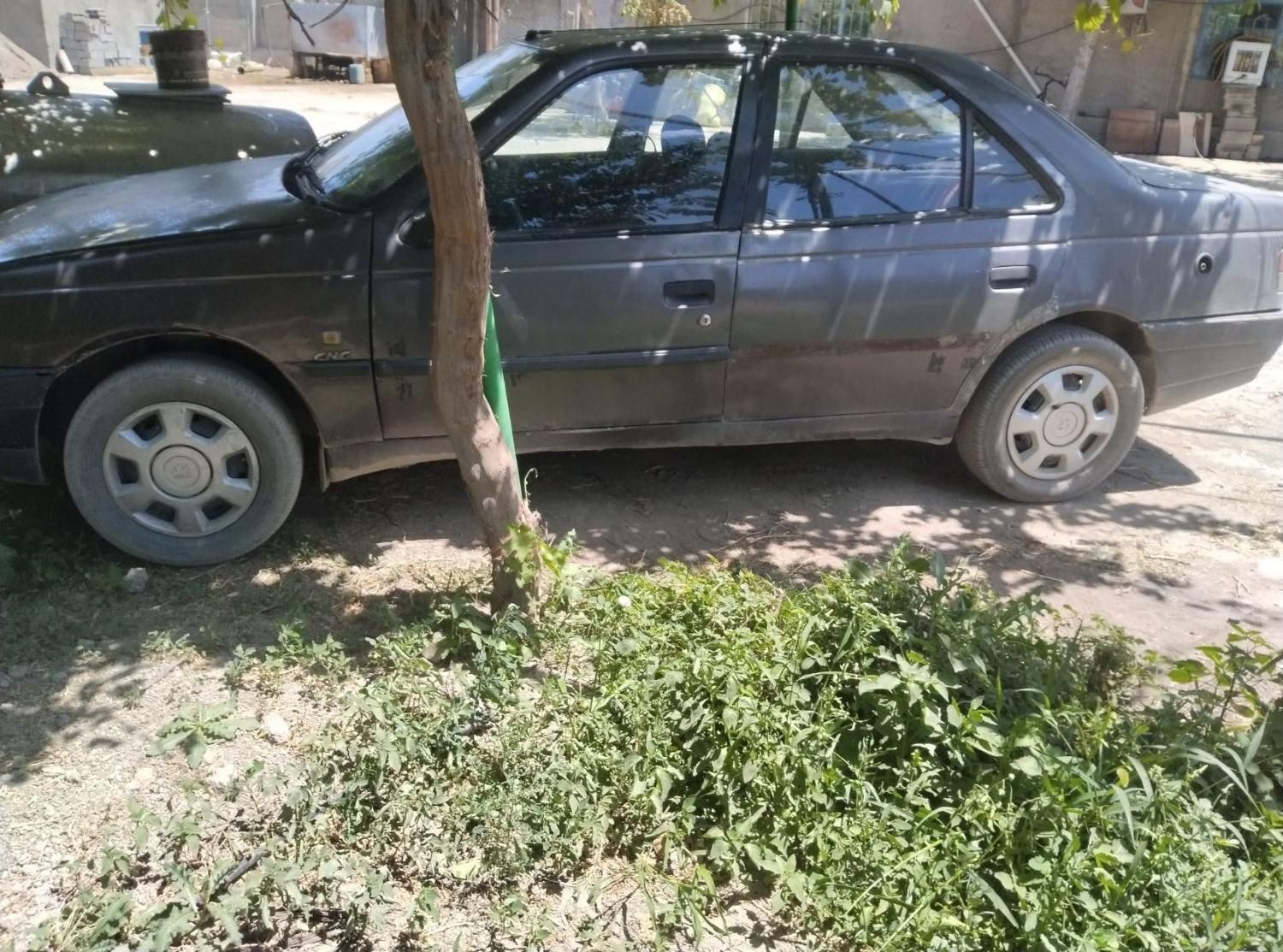 پژو روآ دوگانه سوز - 1387
