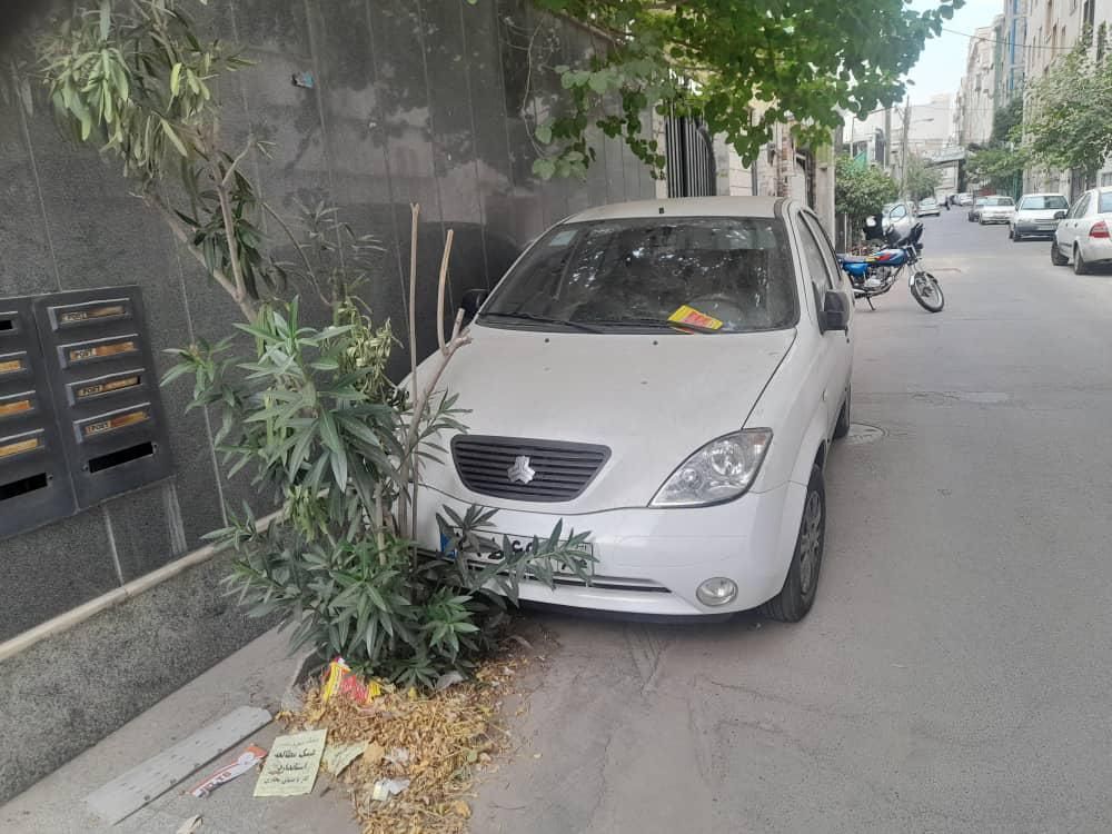 خودرو تیبا، صندوق دار آگهی ann_19424402
