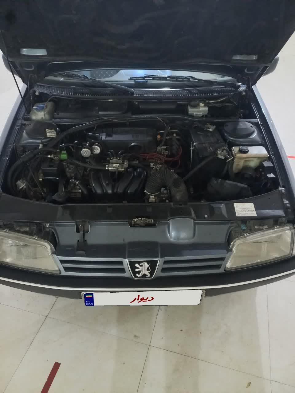 پژو 405 GLX - دوگانه سوز - 1393