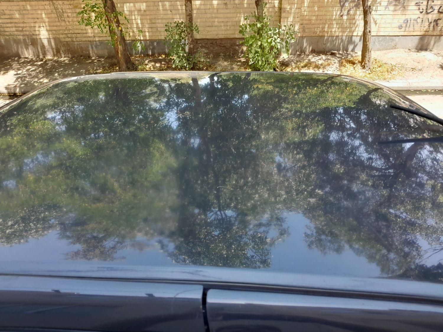 پژو روآ دوگانه سوز - 1386