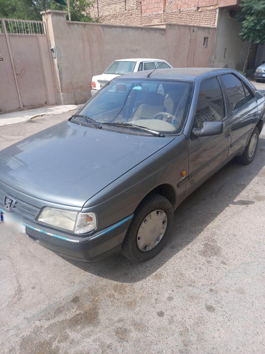 پژو 405 GLX - دوگانه سوز - 1389