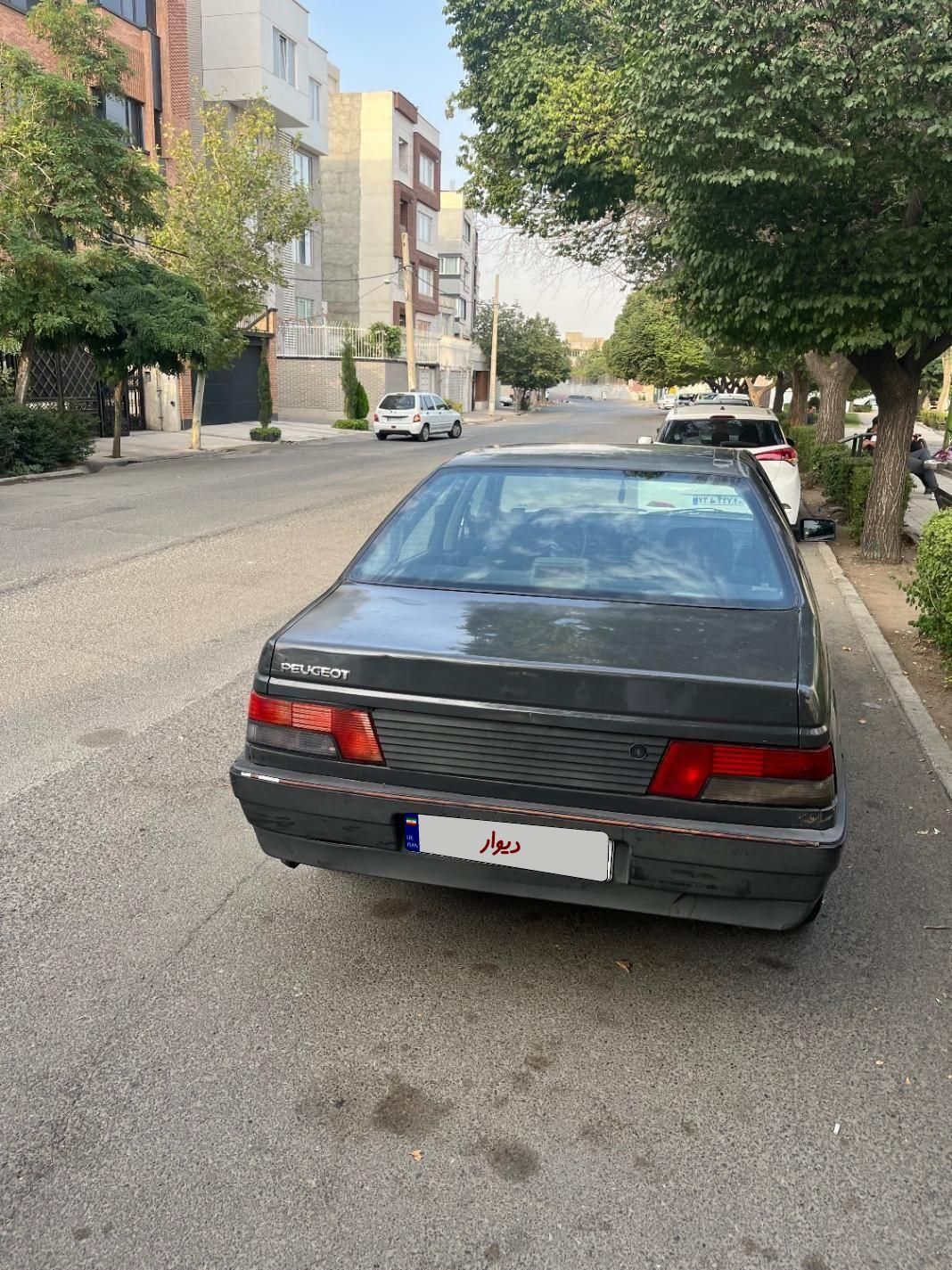 پژو روآ دوگانه سوز - 1388