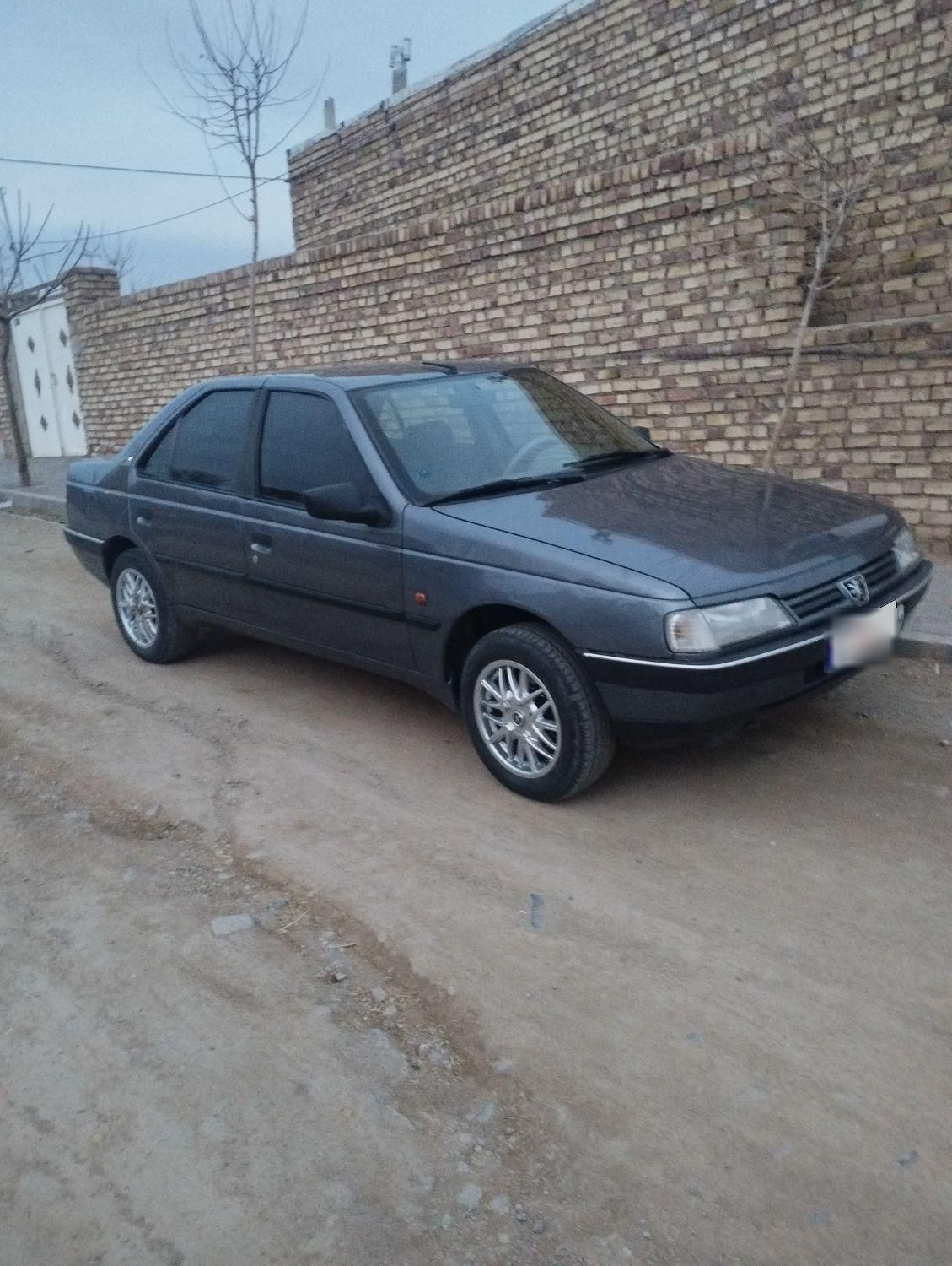 پژو 405 GLX - دوگانه سوز - 1393