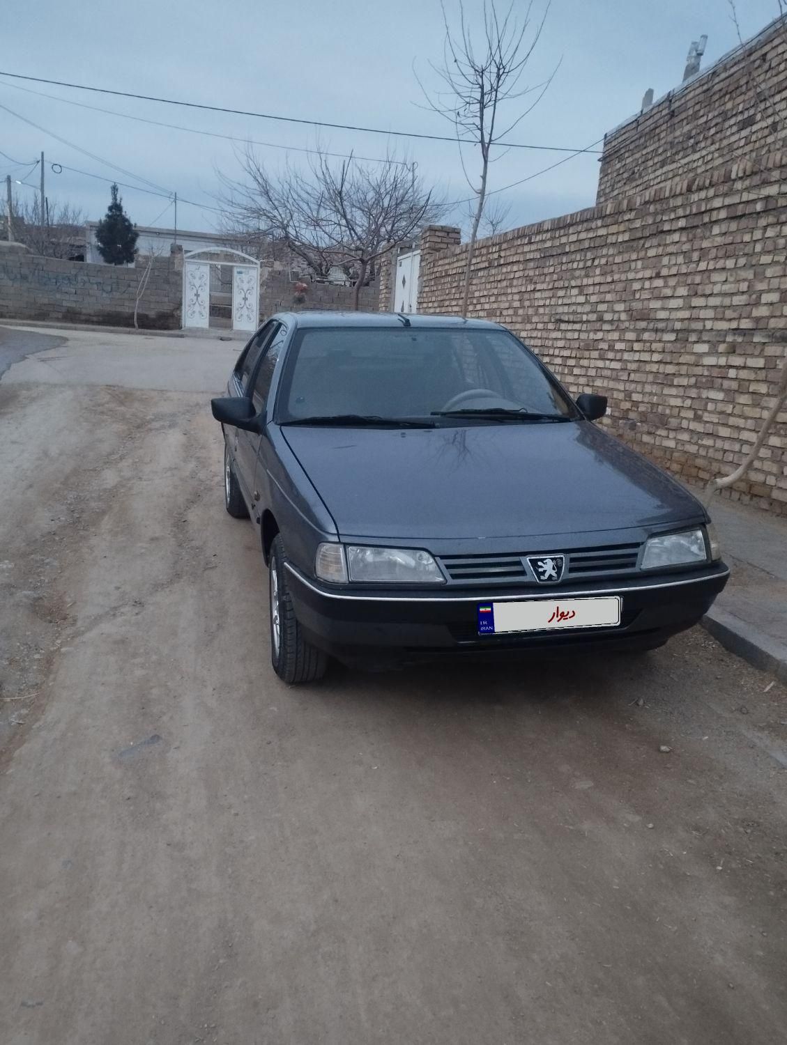 پژو 405 GLX - دوگانه سوز - 1393