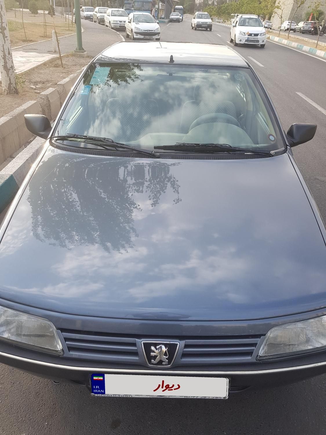 پژو 405 GLX - دوگانه سوز - 1394
