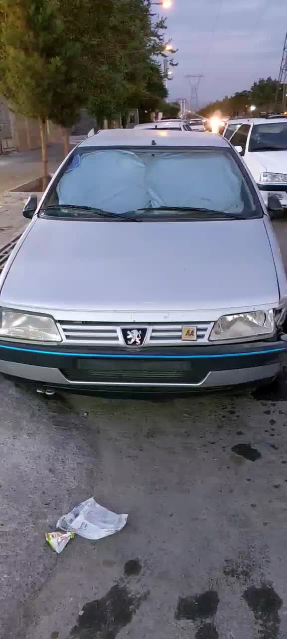پژو 405 GLX - 1388