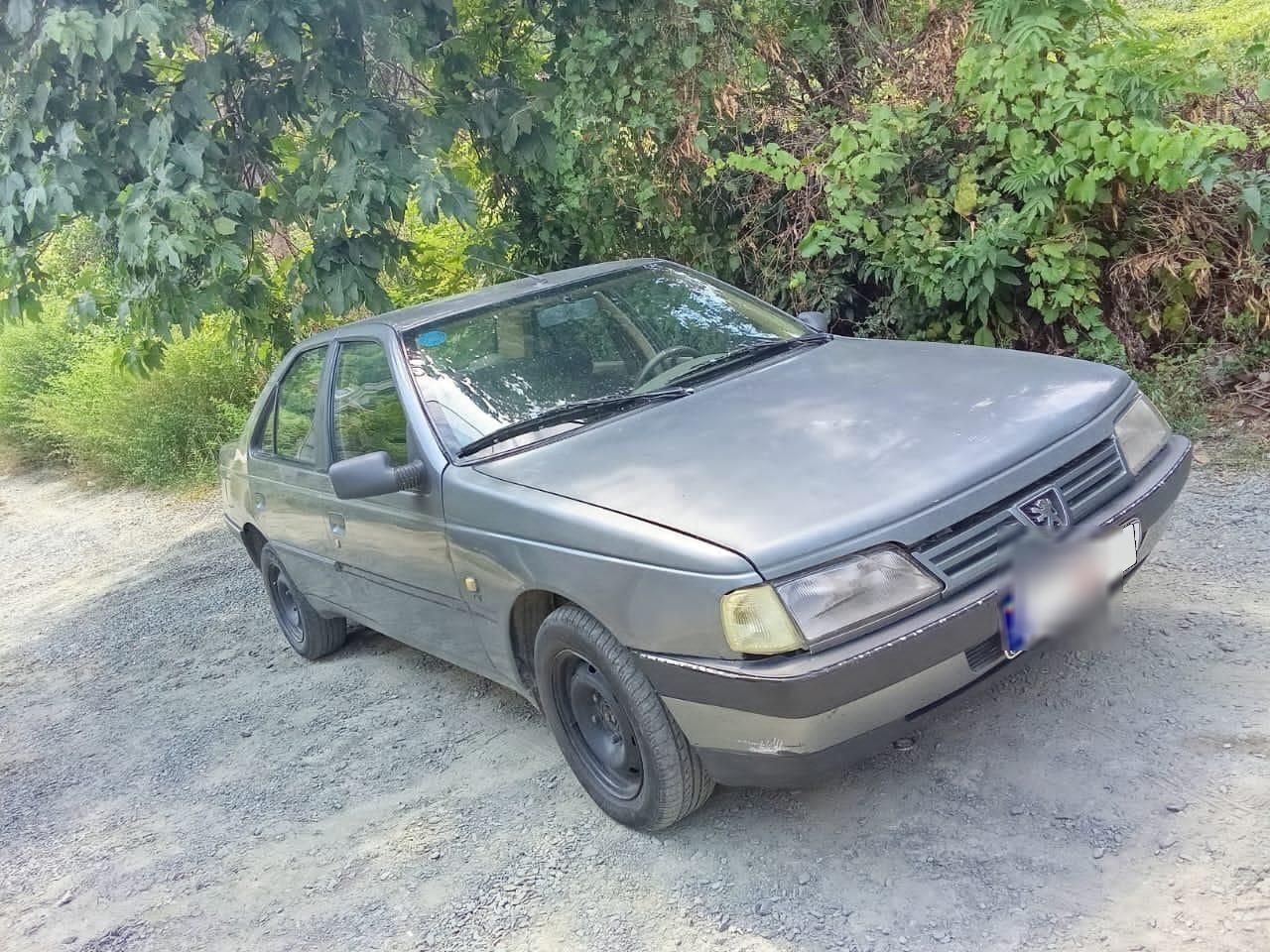 پژو 405 GLX - 1391