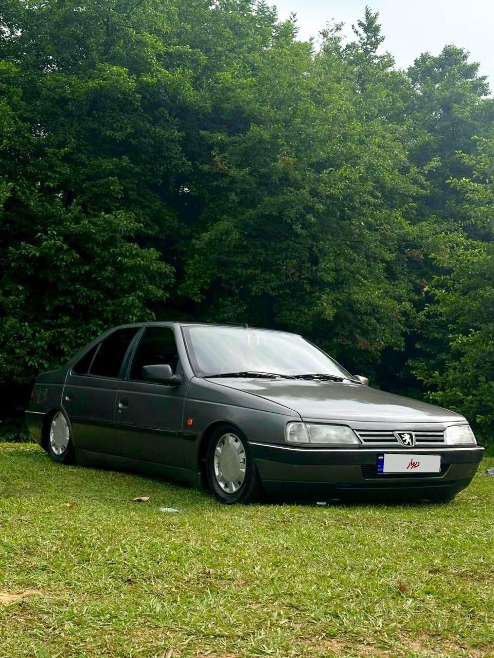 پژو 405 GLX - 1389