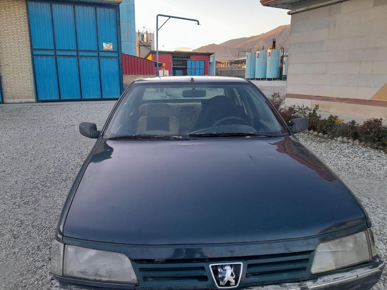 پژو آردی دوگانه سوز CNG - 1381