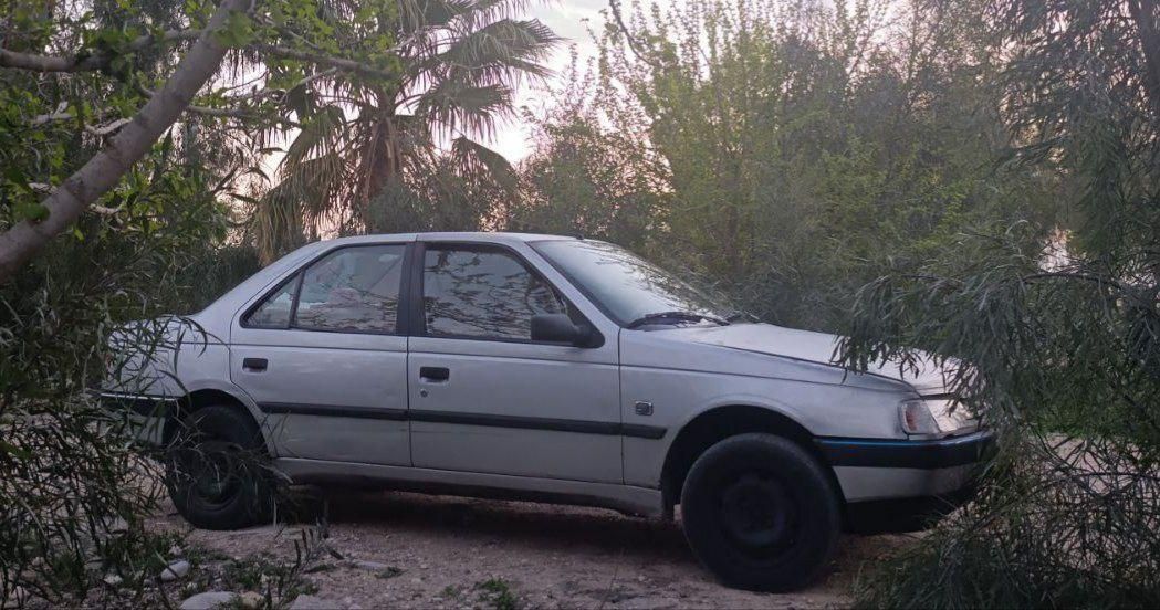 خودرو پژو، 405 آگهی ann_19439999