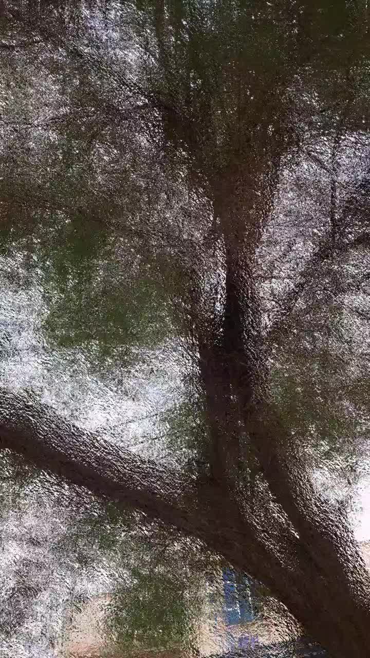خودرو سمند، سورن پلاس آگهی ann_19442158