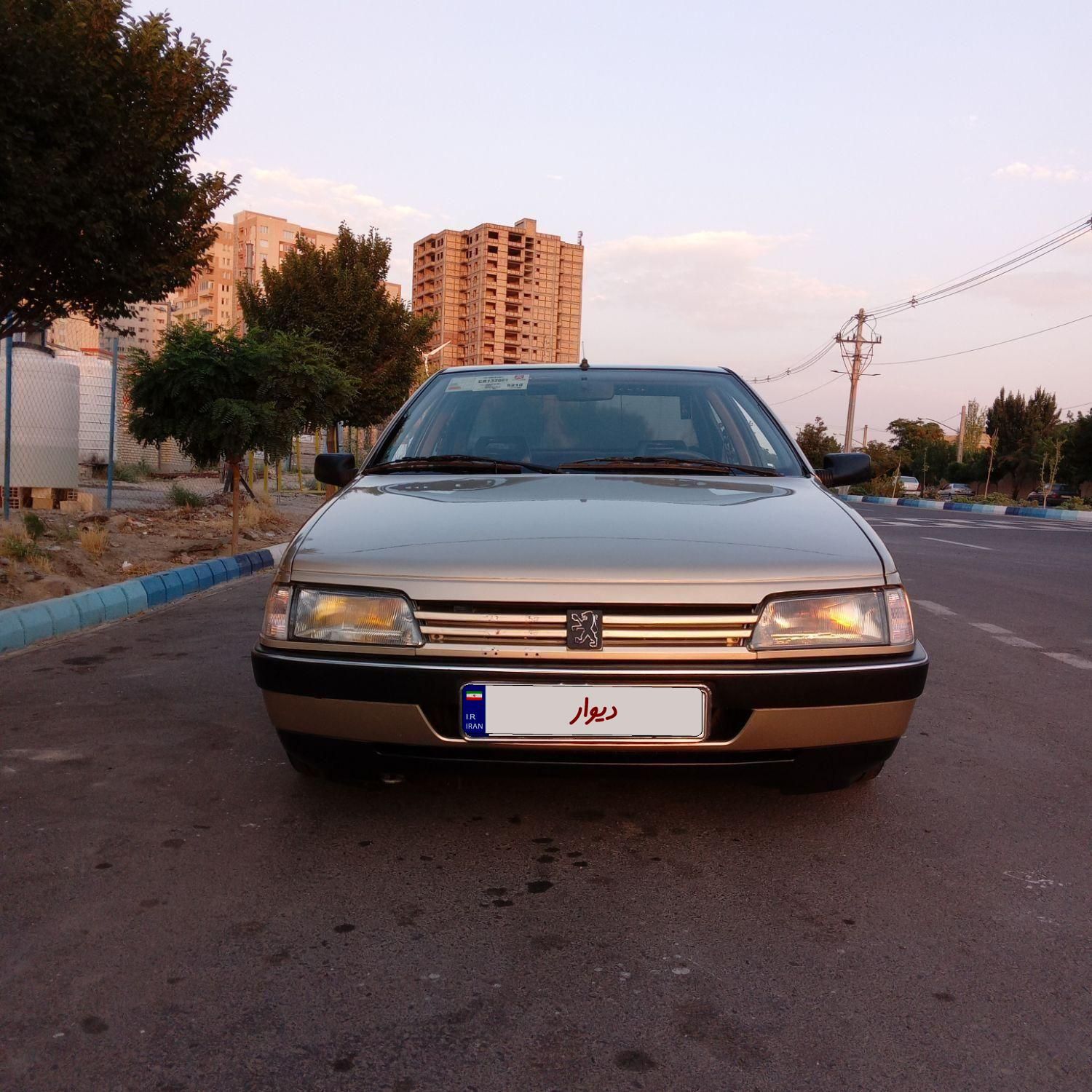 پژو 405 GLX - دوگانه سوز - 1384