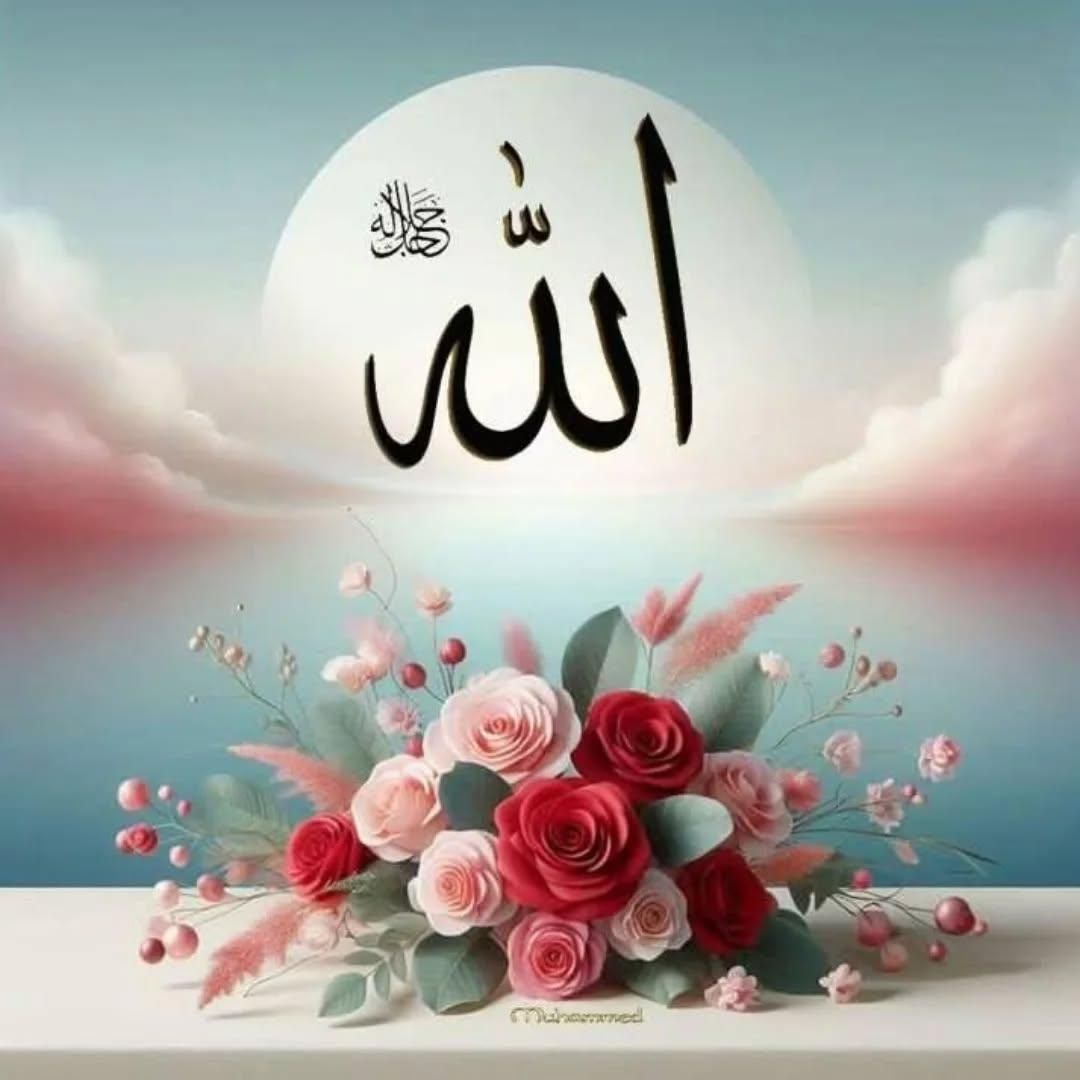خودرو پژو، 206 آگهی ann_19442893
