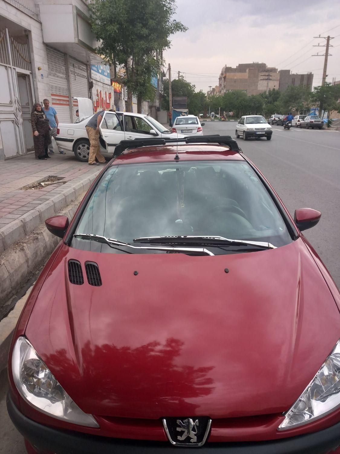 پژو 206 تیپ 2 - 1381