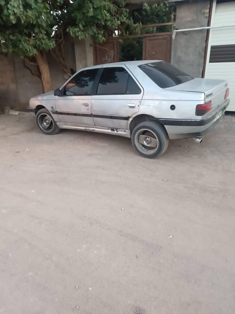 پژو 405 GLX - دوگانه سوز - 1388