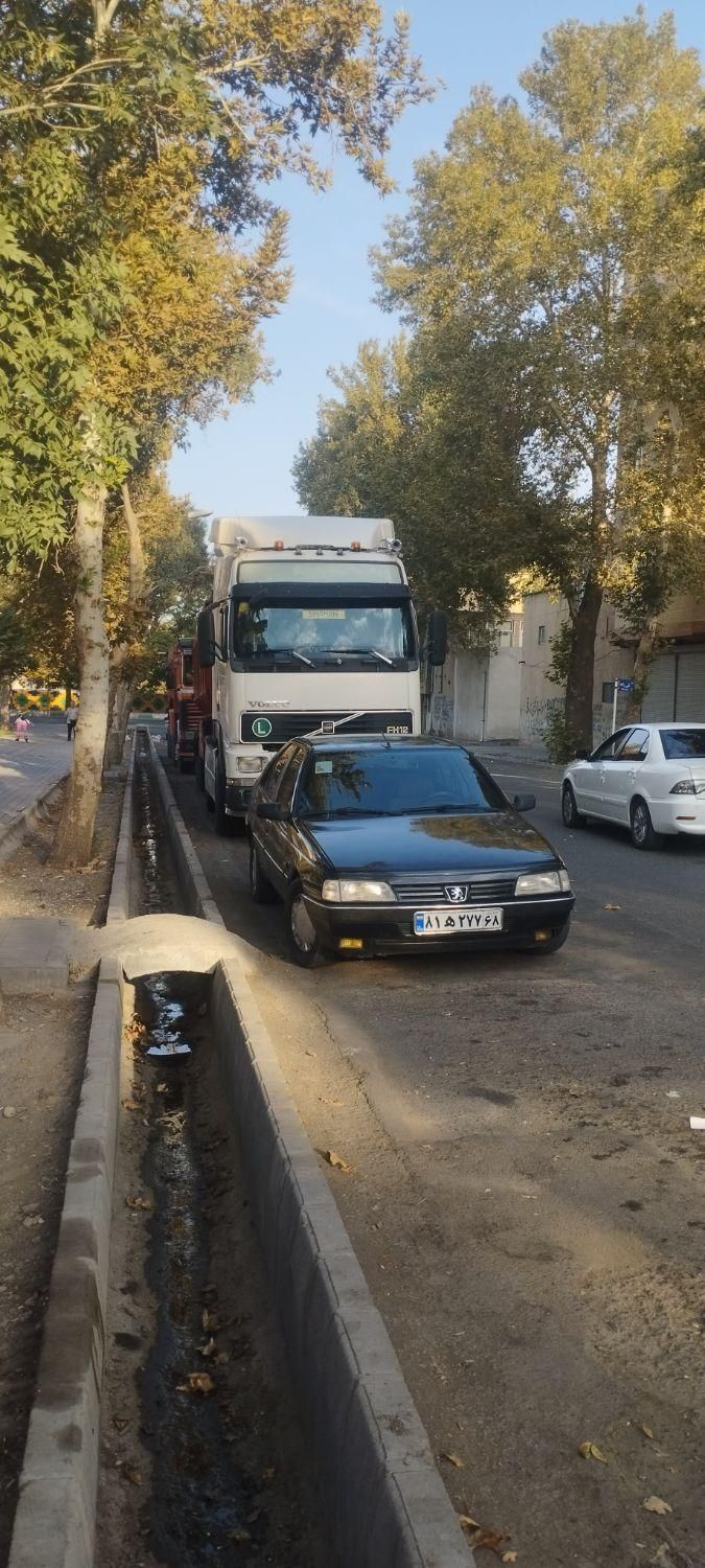 خودرو پژو، 405 آگهی ann_19444778