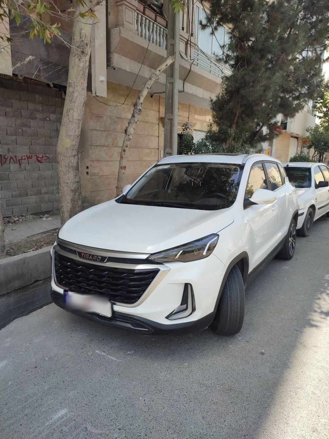 تیگارد X35 ساده - 1402