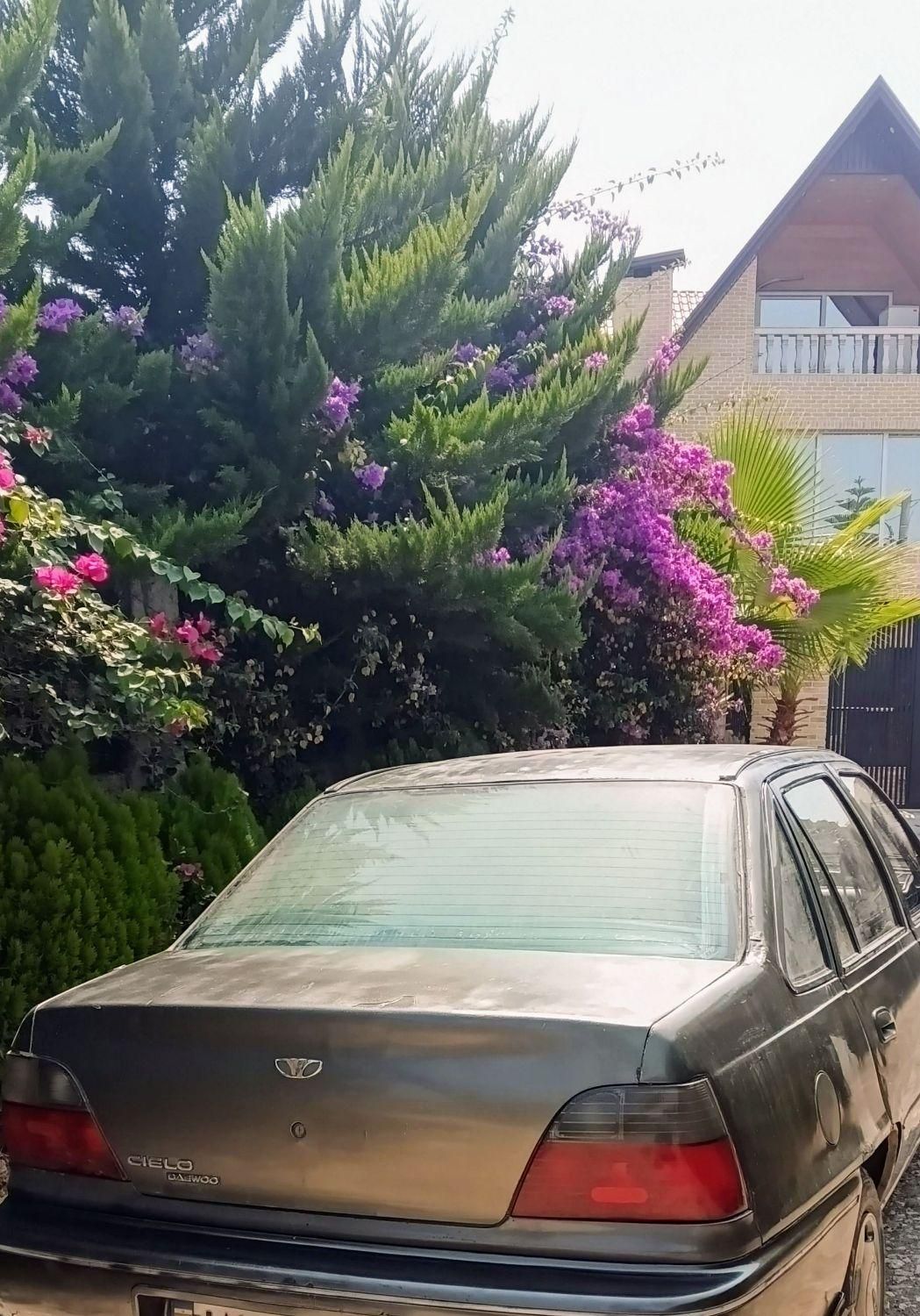دوو سیلو سدان - 1380