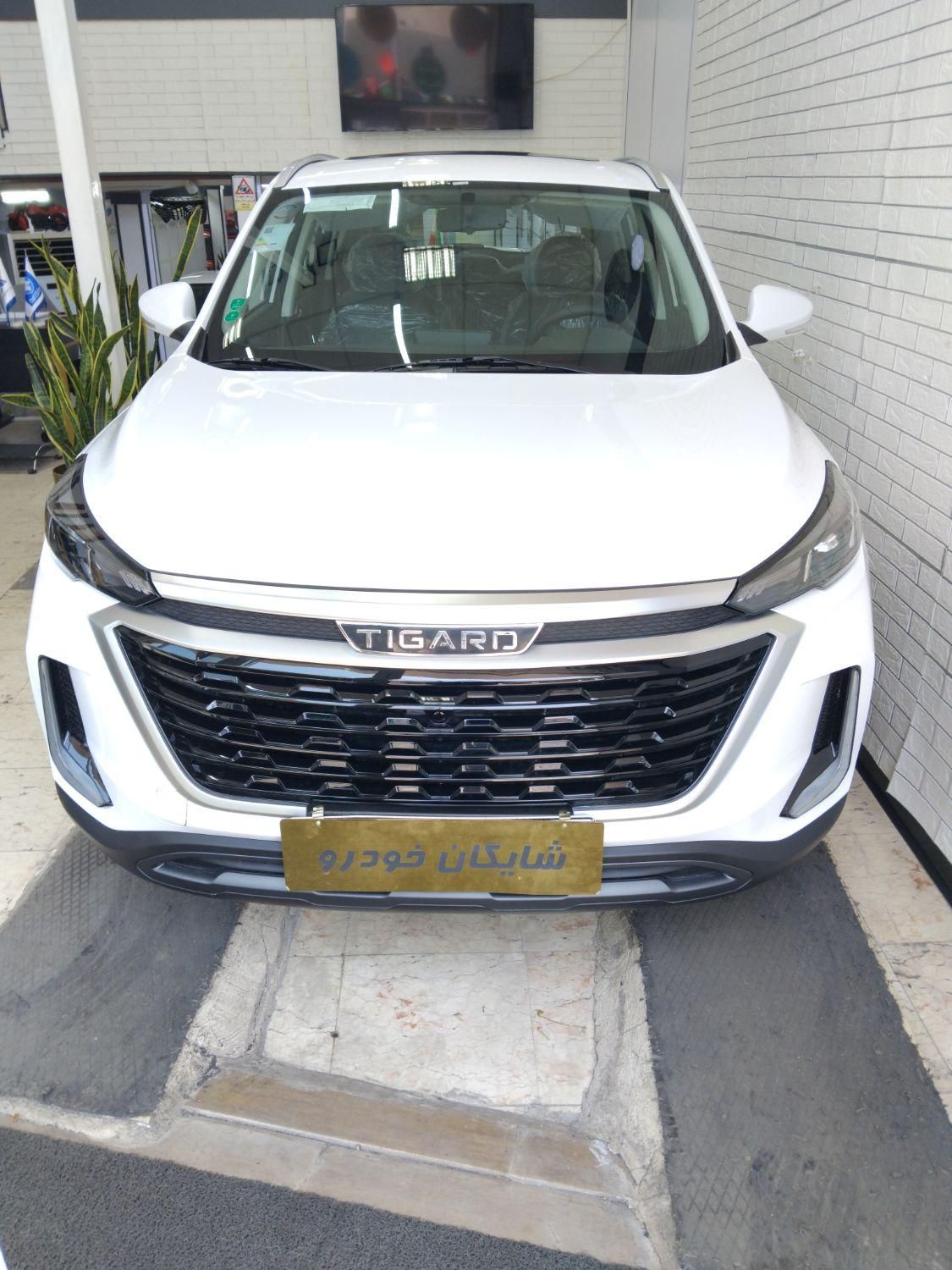تیگارد X35 ساده - 1404