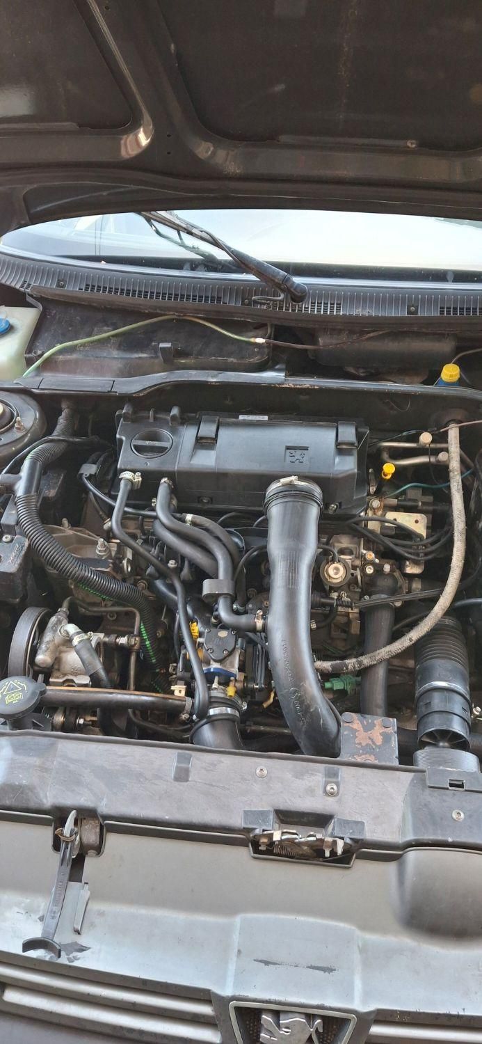 پژو 405 GLI - دوگانه سوز CNG - 1384